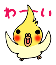 Pleasantly Cockateel Life sticker #5655094