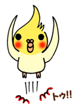 Pleasantly Cockateel Life sticker #5655106