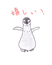 Emperor Penguin Sticker sticker #5658528