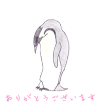 Emperor Penguin Sticker sticker #5658530