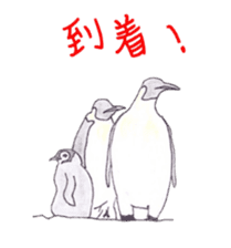 Emperor Penguin Sticker sticker #5658534