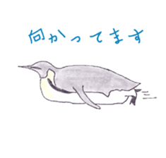Emperor Penguin Sticker sticker #5658535