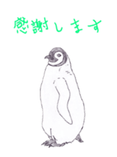 Emperor Penguin Sticker sticker #5658536