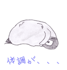 Emperor Penguin Sticker sticker #5658538