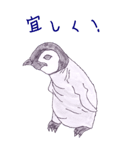 Emperor Penguin Sticker sticker #5658540