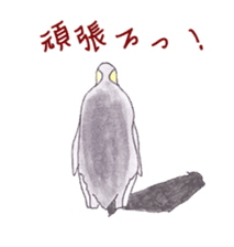 Emperor Penguin Sticker sticker #5658547