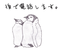 Emperor Penguin Sticker sticker #5658551
