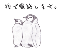 Emperor Penguin Sticker sticker #5658551