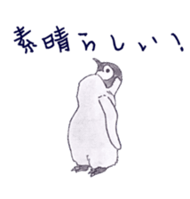 Emperor Penguin Sticker sticker #5658554