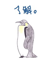 Emperor Penguin Sticker sticker #5658558