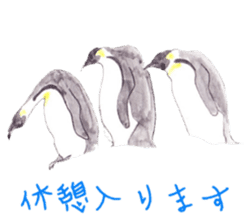 Emperor Penguin Sticker sticker #5658560