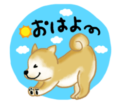 Shiba Inu dog sticker #5658884