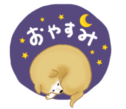 Shiba Inu dog sticker #5658885