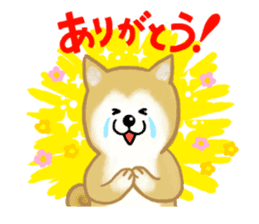 Shiba Inu dog sticker #5658887