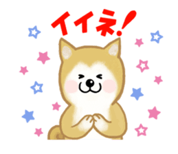 Shiba Inu dog sticker #5658888