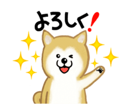 Shiba Inu dog sticker #5658889