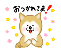 Shiba Inu dog sticker #5658890