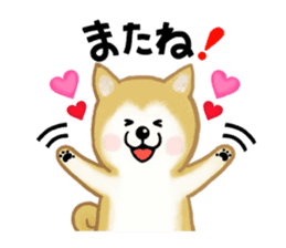 Shiba Inu dog sticker #5658891