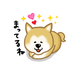 Shiba Inu dog sticker #5658892