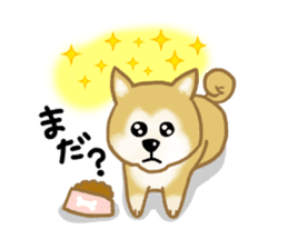 Shiba Inu dog sticker #5658893