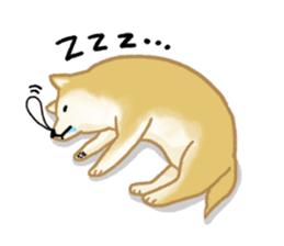 Shiba Inu dog sticker #5658904