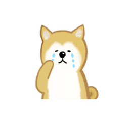 Shiba Inu dog sticker #5658909