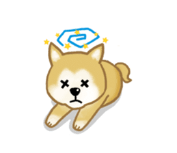 Shiba Inu dog sticker #5658910