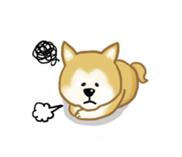 Shiba Inu dog sticker #5658911
