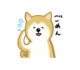 Shiba Inu dog sticker #5658914