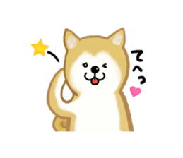 Shiba Inu dog sticker #5658915