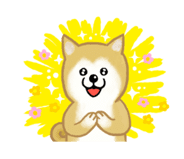 Shiba Inu dog sticker #5658920