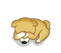 Shiba Inu dog sticker #5658921