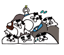 Thick eyebrows of penguins sticker #5659325