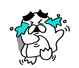 Thick eyebrows of penguins sticker #5659334