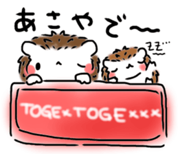 Softly little Hedgehogs 'Hari-san' 2 sticker #5660005