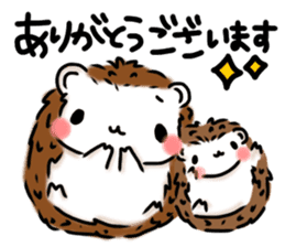 Softly little Hedgehogs 'Hari-san' 2 sticker #5660007