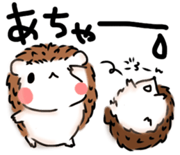 Softly little Hedgehogs 'Hari-san' 2 sticker #5660008