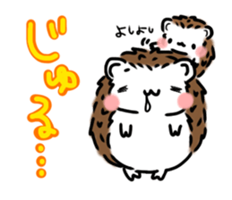 Softly little Hedgehogs 'Hari-san' 2 sticker #5660019