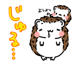 Softly little Hedgehogs 'Hari-san' 2 sticker #5660019