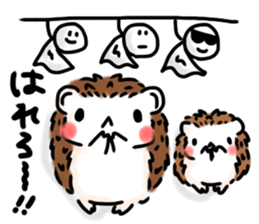 Softly little Hedgehogs 'Hari-san' 2 sticker #5660027