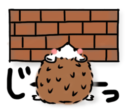 Softly little Hedgehogs 'Hari-san' 2 sticker #5660028