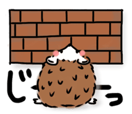 Softly little Hedgehogs 'Hari-san' 2 sticker #5660028