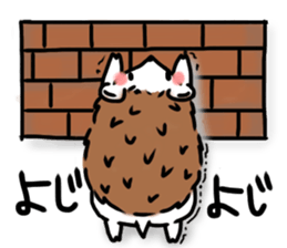 Softly little Hedgehogs 'Hari-san' 2 sticker #5660029