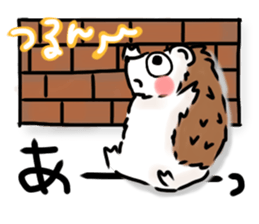 Softly little Hedgehogs 'Hari-san' 2 sticker #5660030