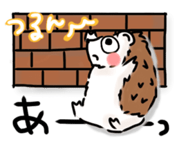 Softly little Hedgehogs 'Hari-san' 2 sticker #5660030