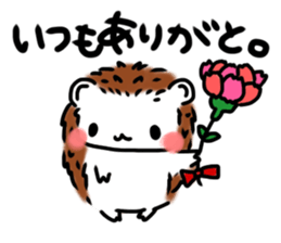 Softly little Hedgehogs 'Hari-san' 2 sticker #5660033