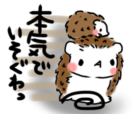 Softly little Hedgehogs 'Hari-san' 2 sticker #5660037