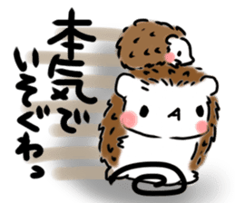Softly little Hedgehogs 'Hari-san' 2 sticker #5660037