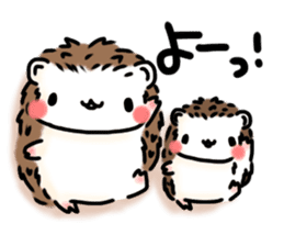 Softly little Hedgehogs 'Hari-san' 2 sticker #5660038