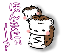 Softly little Hedgehogs 'Hari-san' 2 sticker #5660042